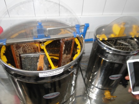 Photo: CEBIB postgraduates learn how honey is processing honey in the African Reference Lab for Bee Health, ICIPE 