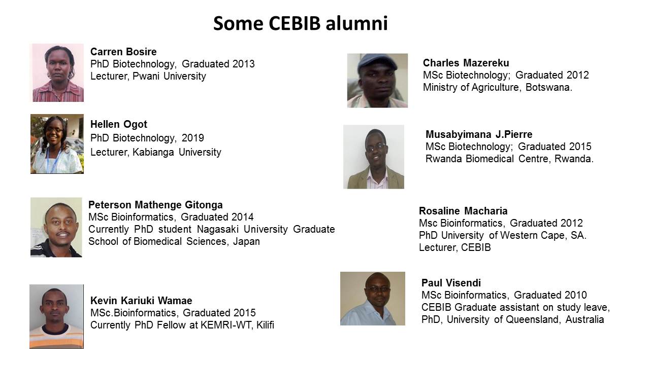 Photo: CEBIB Alumni