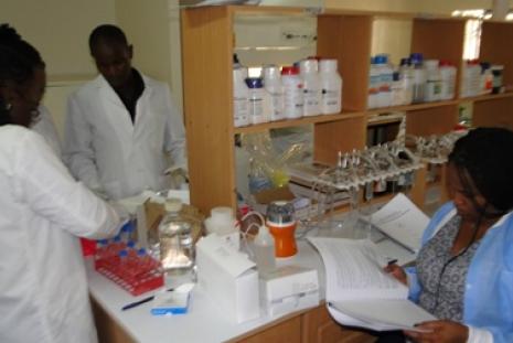 Photo: CEBIB Mycology lab; Aflatoxin testing accredited
